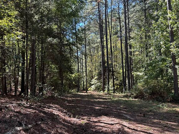 5th image of 0 N Scottsville Rd