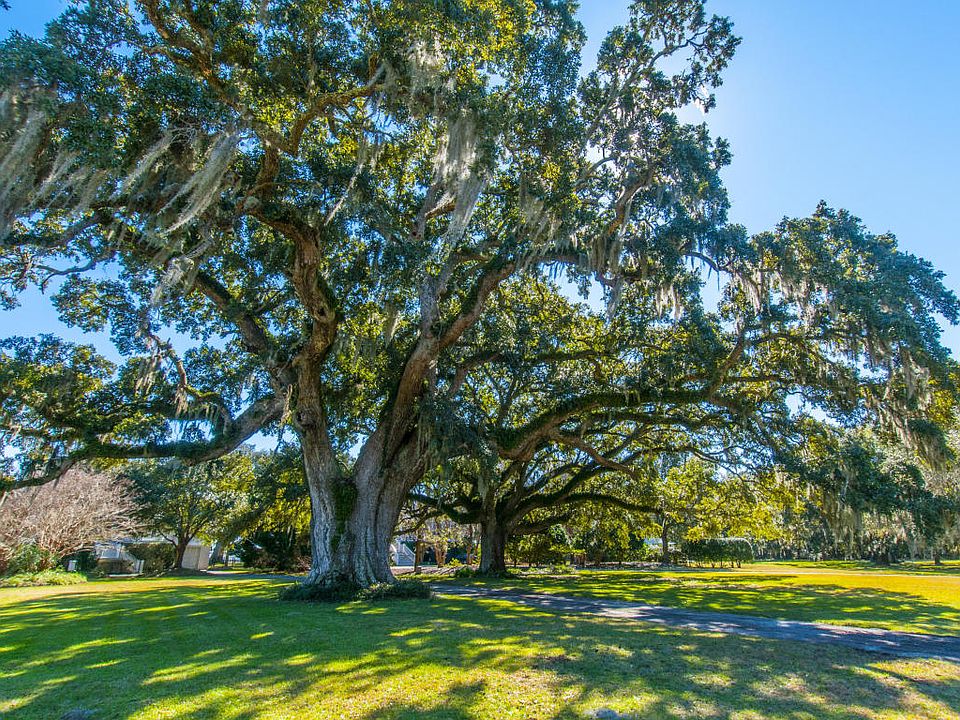 6059 Mossey Grove Ln, Awendaw, SC 29429 | Zillow