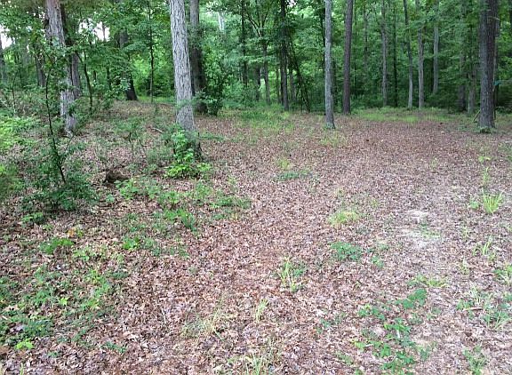 5th image of 3651 Sagamore Dr