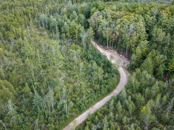 Oro Rd, Spalding, MI 49886