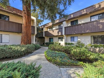 999 W Evelyn Ter APT 75, Sunnyvale, CA, 94086