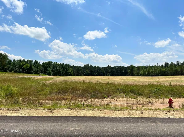 20 Hazelwood Dr, Lake Cormorant, MS 38641