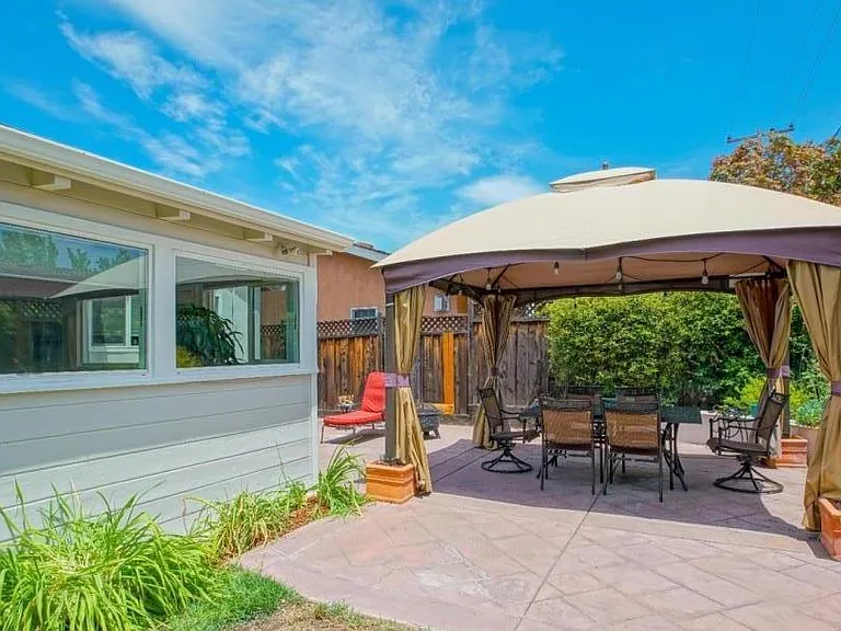 Back Yard 1