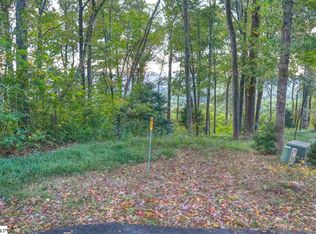 19 Rocky Gap Ct, Landrum, SC 29356