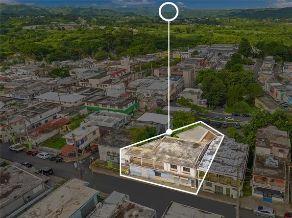 16 Buena Vista Ave, Morovis, PR 00687