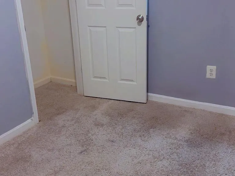 3300 Yellow Flower Rd — Photo 11