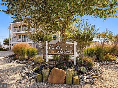 1810 Central Ave #5, Ship Bottom, NJ, 08008