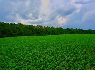 0 Pate Rd, Newton, AL 36352