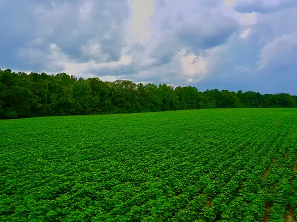 0 Pate Rd, Newton, AL 36352