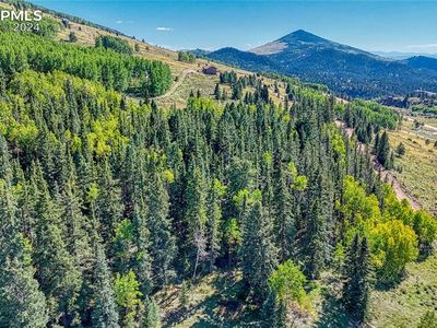 72 Troy Way, Cripple Creek, CO, 80813