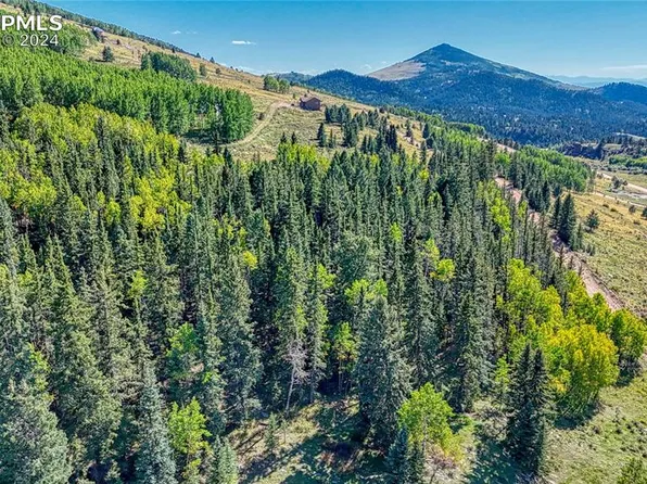 72 Troy Way, Cripple Creek, CO 80813