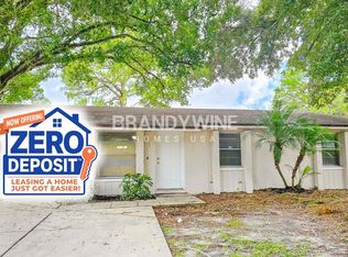 3716 Ambermist Dr, Tampa, FL 33619