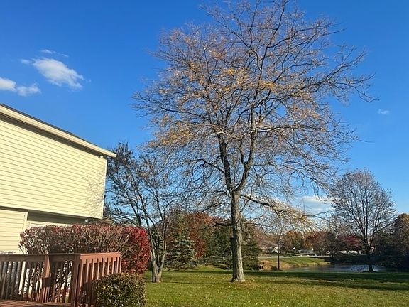 4th image of 160 Nicole Blvd