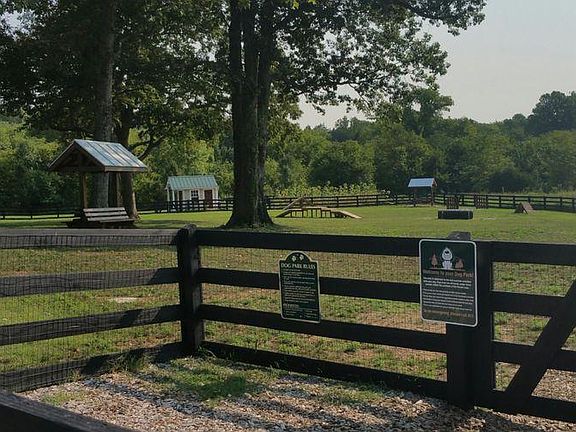 Dog park
