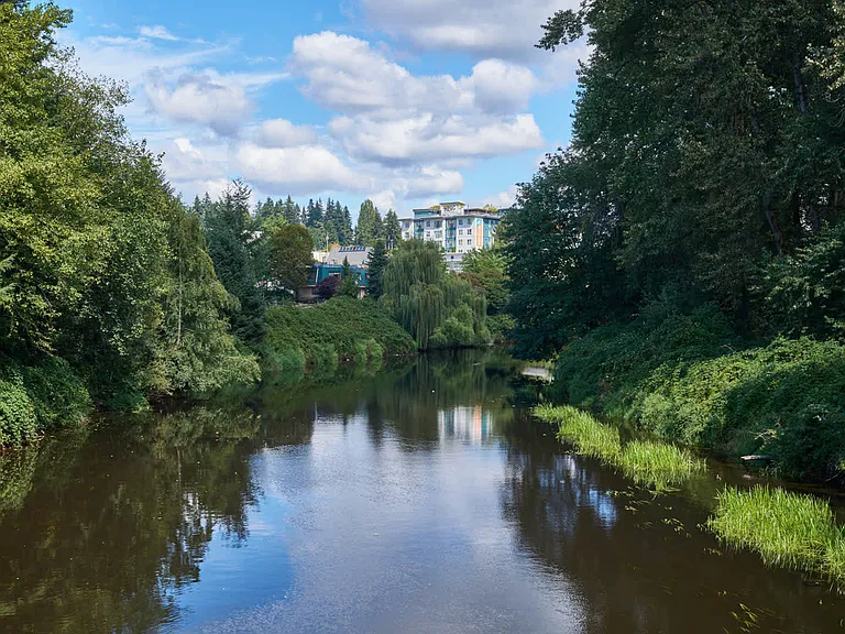 Views of Bothell from the Sammamish River Trail