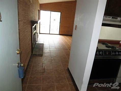 3rd image of 296 Bent Bough Pl