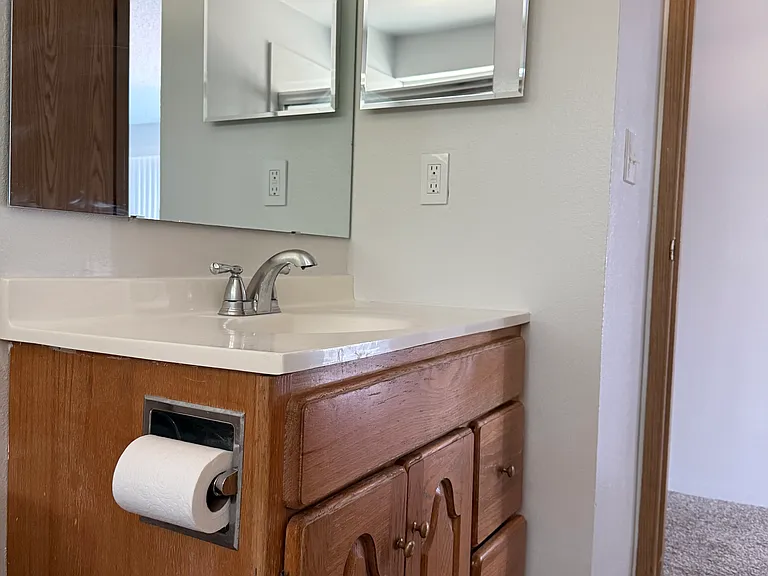 Main Full Bathroom (sink).