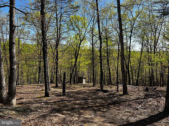 3rd image of 95 Ashton Woods Dr