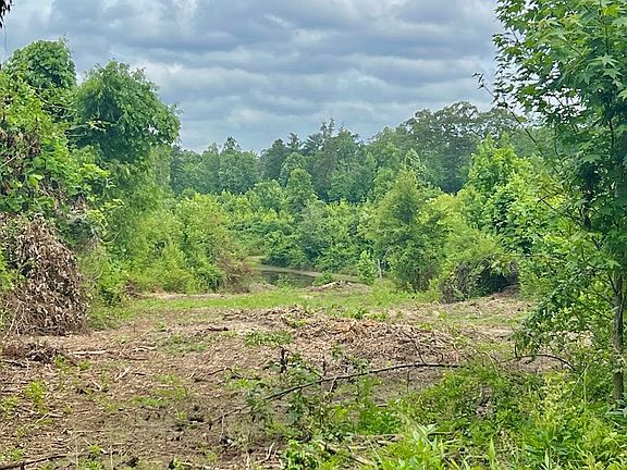 4th image of 0 Folds Rd Tract D-22.67-171