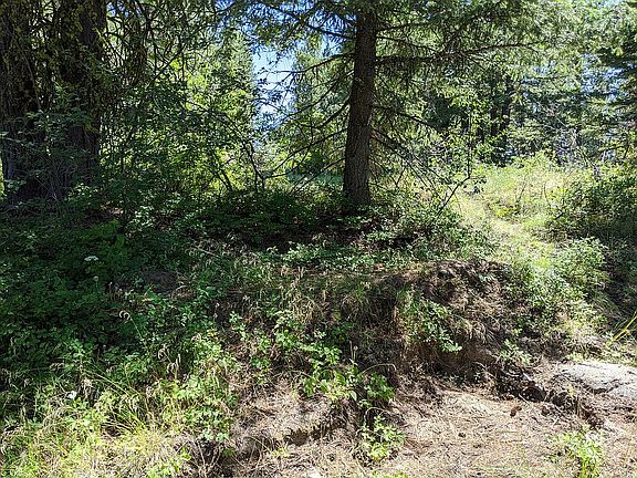 Ready for a tent or table!