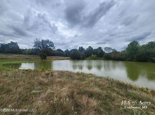 10.61 Old Memphis Oxford Rd, Coldwater, MS 38618