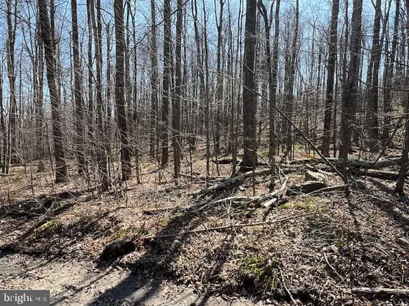 Wheeler Rd, Newfoundland, PA 18445