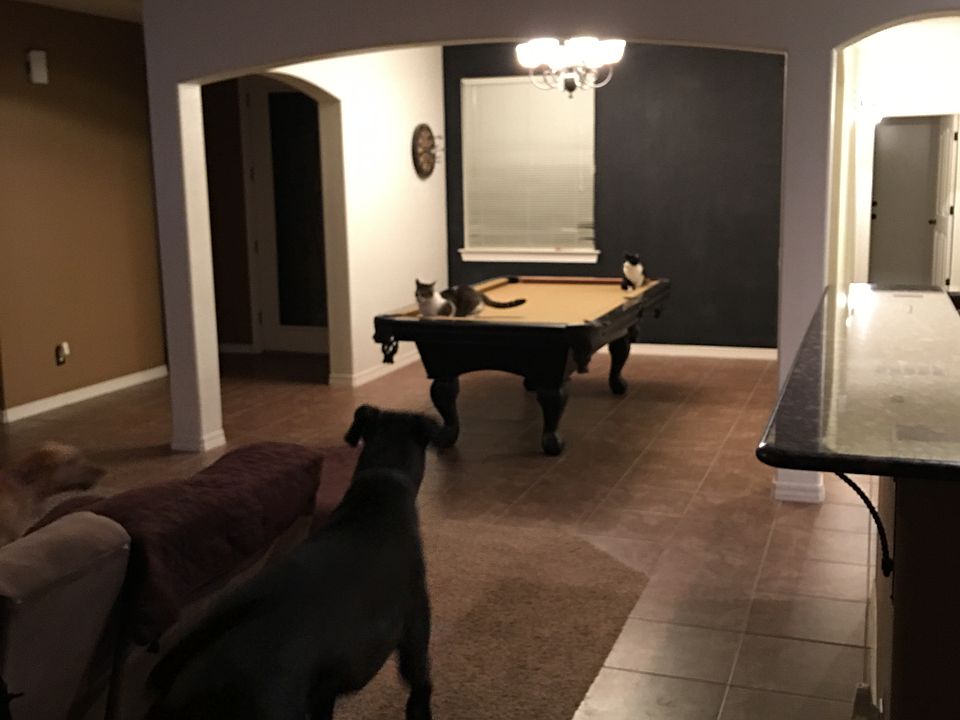 1st image of 14458 Lacota Point Dr