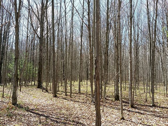 2nd image of 3047 County Road 8