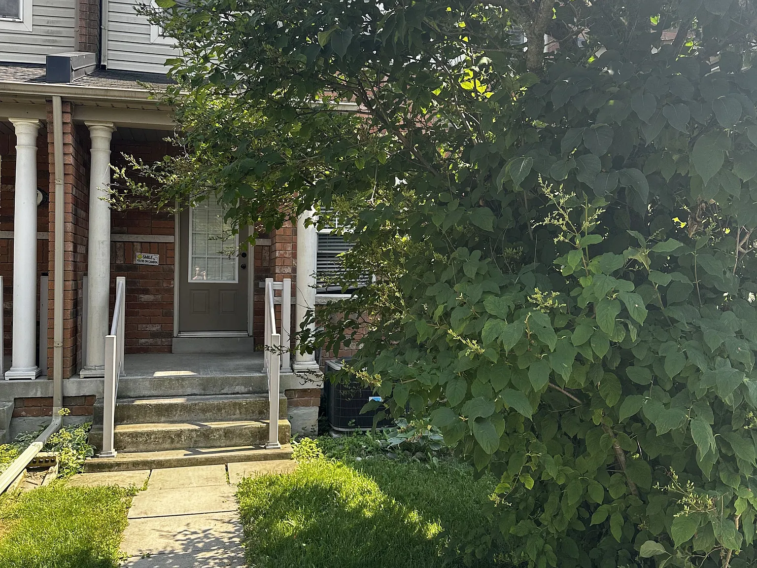 3 bed, $3,500 — Photo 2