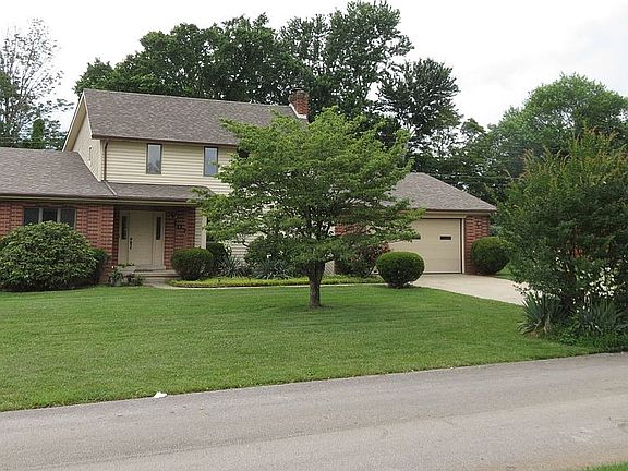 dogwood trees large yard