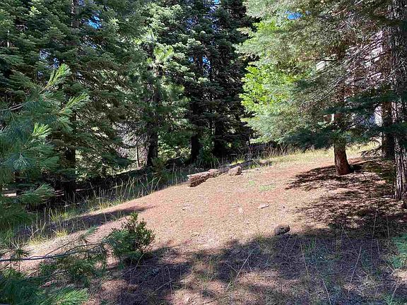 5th image of 831 Peninsula Dr