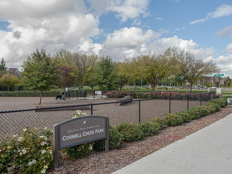 Take your dog to Cornell Creek Park