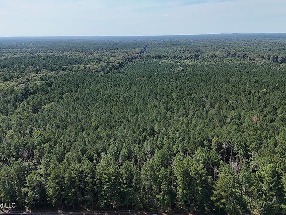 2nd image of Davis Rd