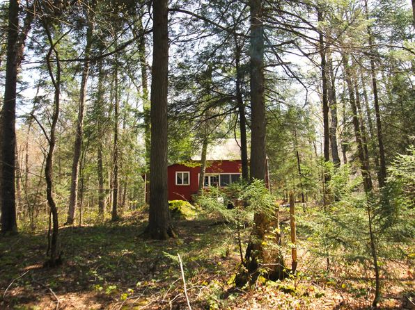281 Stock Ln, Inlet, NY 13360