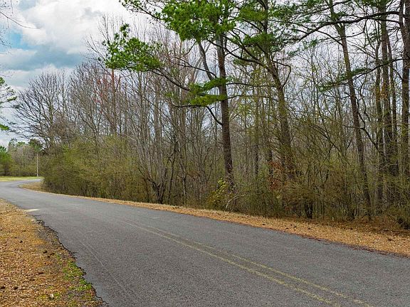 3rd image of 5/ACRE S County Road 49