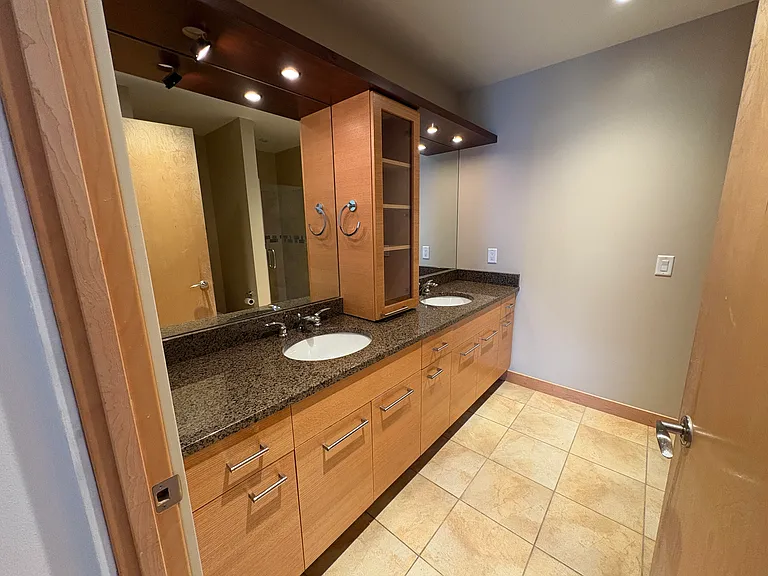 309 W Washington Ave #905 — Photo 12