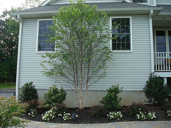 House Front - Garage Side