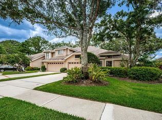 12707 Burmah Ct, Odessa, FL 33556