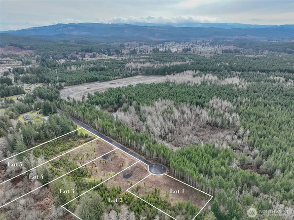 120-120 Larson Rd Lot 4, McCleary, WA 98557