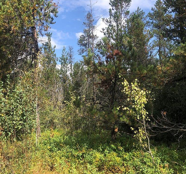 1st image of 168 Lake Trail Dr