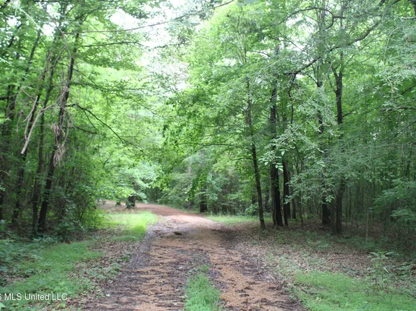 1347 Briscoe Rd, Holly Springs, MS 38635