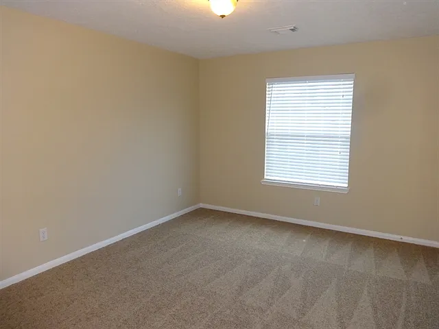 9031 Ferndale View Dr — Photo 10