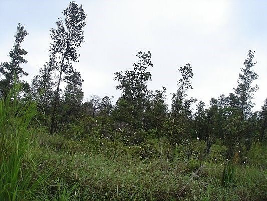 2nd image of LOT 7881st
