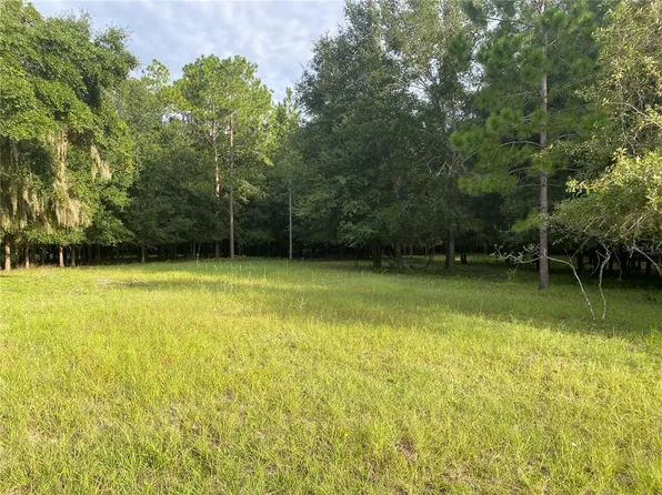 466 Cr, Oxford, FL 34484