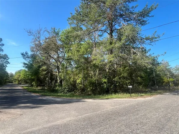 Guava Pass #6, Ocklawaha, FL 32179