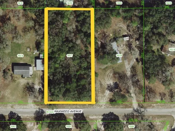 15823 Waxweed Ave, Spring Hill, FL 34610