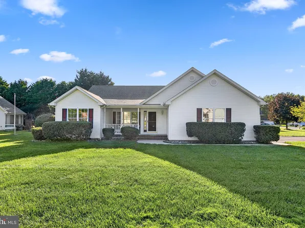 113 Ocean Farm Dr, Frankford, DE 19945