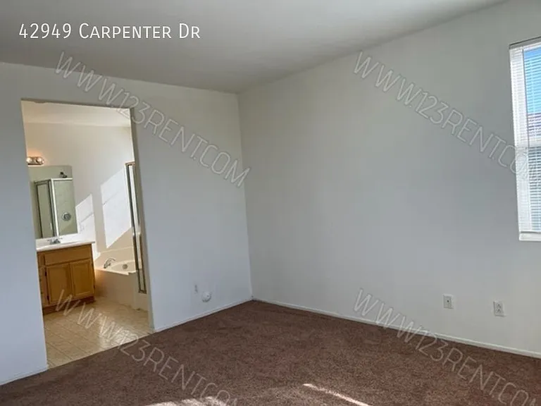 42949 Carpenter Dr — Photo 12