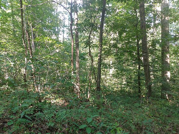 4th image of 0 Glen Oak Dr Lot 10