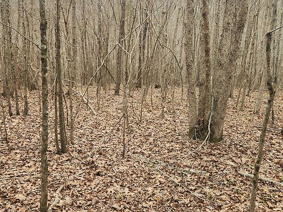 4th image of 0 Nine Mile Ridge Rd